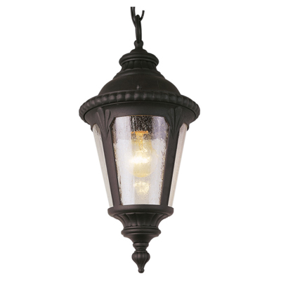 Trans Globe Lighting 5049 BK 1 Light Hanging Lantern in Black